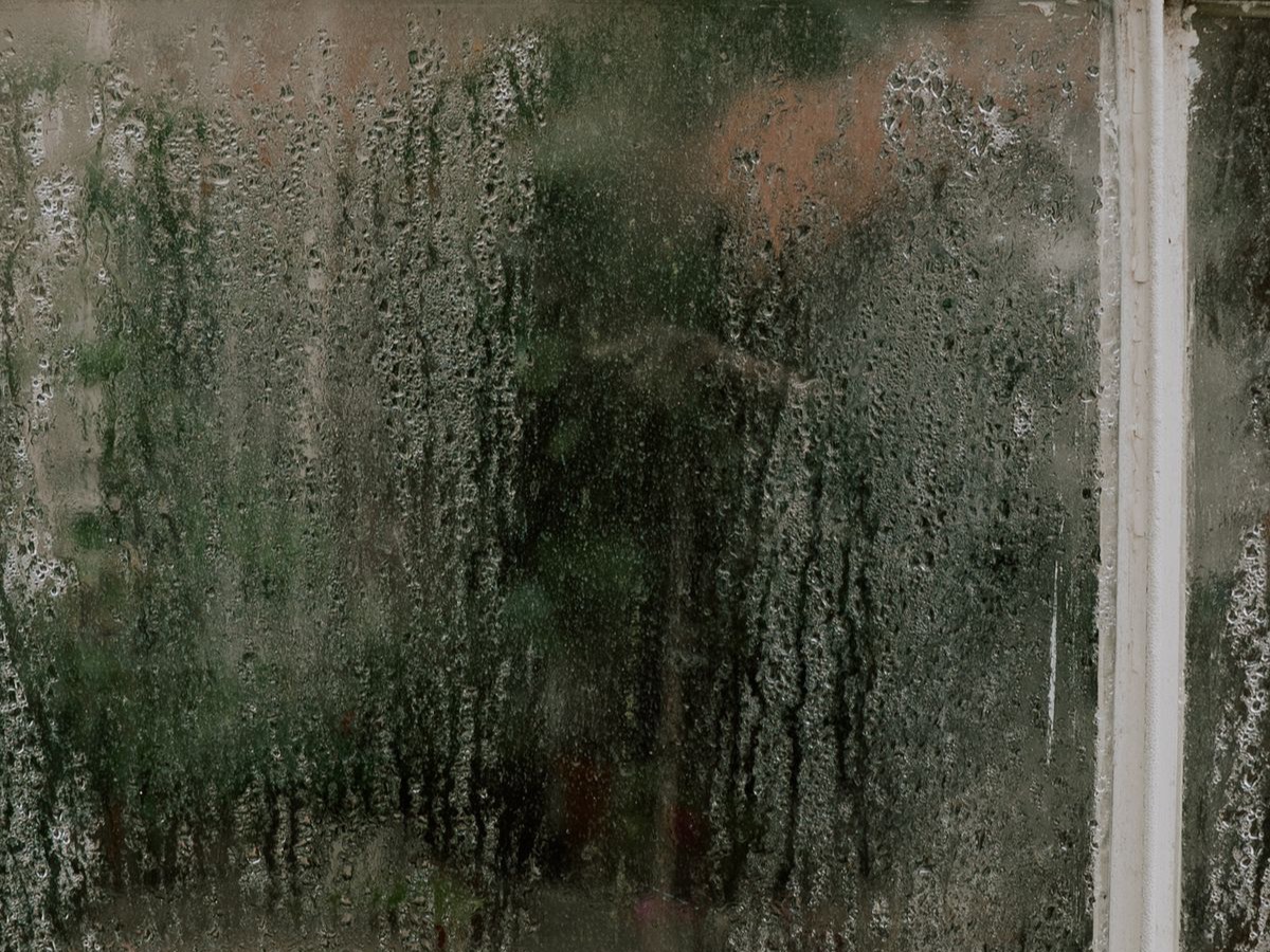 Heavy condensation covering the panes of a divided-light window with white muntins